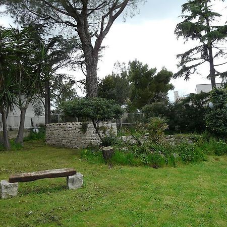 B&B Villa Garden Bisceglie Extérieur photo