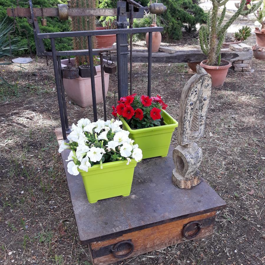 B&B Villa Garden Bisceglie Extérieur photo